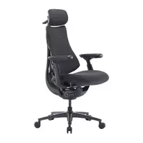 LiberNovo Omni Pro ergonomiska kėdė 45 cm grafitas