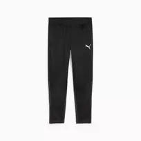 Vyrų sportinės kelnės Puma Team Goal Training juodos 658639 03 S