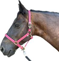 Žirgų apynasris su blizgučiais rožinio aukso spalvos, žirgo apynasris juodos ir rožinės spalvos, 2 krypčių reguliuojamas (rožinis aukso, pony)