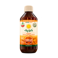 Ekologiškas probiotinis gėrimas su topinambais be glitimo, 500 ml
