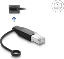 Delock USB Type-C tinklo adapteris Gigabit LAN 1 x RJ45 kištukas