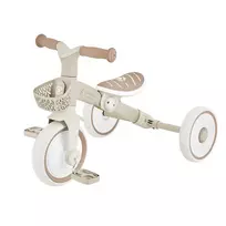 Tribike mokomasis triratis 2-in-1 Plus 737-466