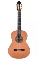 Prodipe Guitars Recital 300 4/4 - klasikinė gitara