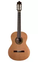 Prodipe Guitars Recital 200 4/4 - klasikinė gitara