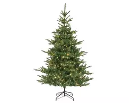 Dirbtinė Kalėdų eglutė Kiens Fir 670280, 210 cm, su LED