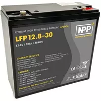 LiFePO4 akumuliatorius 12.8V 30Ah su T12 (M2) BT NPP