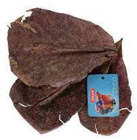 Akvariumo priežiūros priemonė Zolux Catappa Leaves, ruda sp.