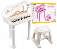 Vaikiškas mokomasis pianinas su mikrofonu ir kėdute