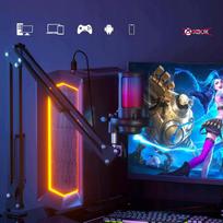 Kondensatorinis mikrofonas su stovu, RGB apšvietimu, nutildymo funkcija, 3,5 mm jungtis, 24 bitų