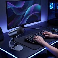 Stalinis mikrofonas podcastams su triukšmo slopinimu, USB, be RGB apšvietimo
