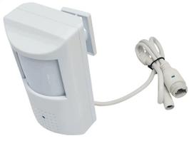 Slapta IP kamera PIR jutikliu, 3MP, PoE, IR, 48x, WIFI, SD kortelės lizdas