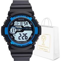 Laikrodis PACIFIC HAWK-357G-05 su žadintuvu ir datos funkcija