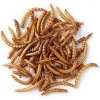 PRODAC Mealworms džiovinti milčiai 250ml