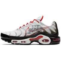 Nike Air Max Plus Graphic Paper CK9392-100 40 gray