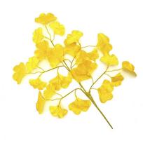 High Quality 10Styles Simulated Ginkgo Biloba Green Color Simulated Leaves Plastic Branches Home Decoration black