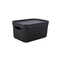 Plastikinė laikymo dėžė su dangčiu Deco - Rotho