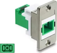 Delock SC Simplex Panelinis Sukabinimo Adapteris su Lazerio Apsauginiu Dangteliu 91104