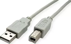 SECOMP STANDARD USB 2.0 kabelis, Type A-B, smėlio spalvos, 0,8 m (S3101)