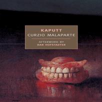 Kaputt by Curzio Malaparte Paperback Book 9781590171479