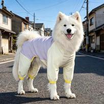 Vėsinantis šuns kostiumas 4 kojoms UV apsauga nuo niežėjimo naminių gyvūnėlių drabužiai vidutinio ir didelio dydžio veislėms ledo šilko audinys 7XL Recommended for 63-78 lbs white
