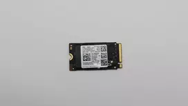 256GB M.2 2242 PCIe 4.0 NVMe SSD (Lenovo)