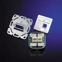 Telegärtner AMJ45 8/8 UP/0 įleidžiama RJ45 rozetė, 2 prievadų, Cat.6A, ekranuota, grynai balta J00020A0388
