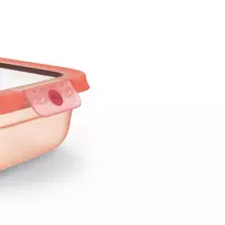 EMSA ONE CLICK maisto laikymo indas, 0,75 L, oranžinis dangtis, hermetiškas ir nepraleidžiantis skysčių, be BPA, tinka mikrobangų krosnelei ir indaplovei 3110601750