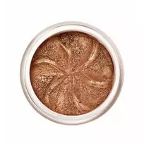 LILY LOLO Bronze Sparkle Eyeshadow 2.5g
