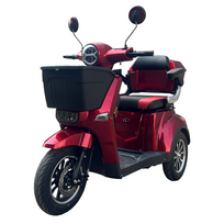 Elektrinis triratis motoroleris / skuteris MS03.10, 800W 20AH Ličio jonų EEC ⚡️eMOTO