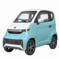 Elektrinis keturratis mini automobilis J4, 1kW 65AH EEC CE ⚡️ eMOTO