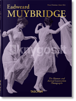Muybridge