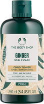 THE BODY SHOP kondicionierius su imbieru, 250 ml – plaukų priežiūra