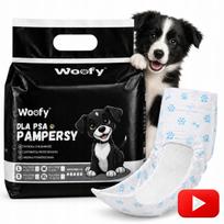 Šunų sauskelnės patinams WOOFY L, 12 vnt.