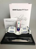 Modelio automobilio BMW Sauber F107 nosies dalis, 1:12, Amalgam M5147