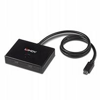 USB jungiklis Lindy 3.2 Gen 1 Type-C, 2 jungtys, dvikryptis