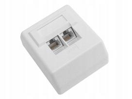 Paviršinis 2x RJ45/8P8C Cat.5E UTP lizdas su LSA kontaktais