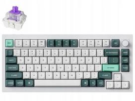 Beklaidė mechaninė klaviatūra KEYCHRON Q1 HE QMK