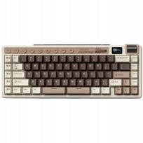Mechaninė klaviatūra Royal Kludge M70, pilka, Beige jungikliai