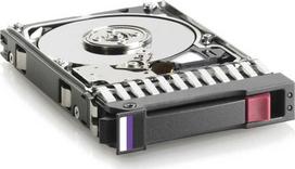 Hewlett Packard (HP) Serverio diskas HPE 300GB 2,5 colio SAS-2 (6Gb/s) (618518-001)