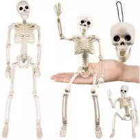 Skeletas - dekoracija 40cm Ruhhy 26027