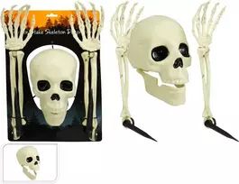 Party Deco Nežinomas SODO DEKORACIJOS SKELETAS, 3 DALYS