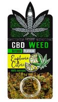 Euphoria CBD kanapių žiedai „Platinum Euphoria Citric“ – 0,7 g