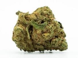 Small Buds Greenhouse – smulkūs šiltnamyje augintų kanapių žiedai
