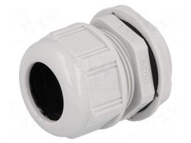 Cable gland | PG29 | IP68 | Mat: polyamide | light grey | UL94V-2