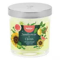 BOLSIUS Floral Fusion kvapni žvakė stiklinėje, saulėgrąžų ir citrusų, Ø80x72mm
