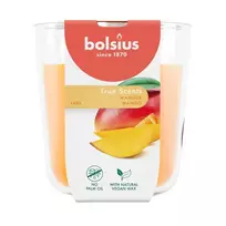 BOLSIUS True Scents mango kvapioji žvakė stikliniame inde, Ø97x85 mm
