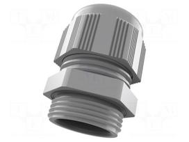 Cable gland | PG13,5 | IP66,IP68 | polyamide | grey