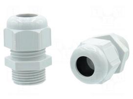 Cable gland | PG13,5 | IP66,IP68 | polyamide | light grey