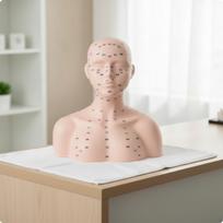 Manekeno liemuo su akupunktūros taškais | Minkštas guminis, PVC, Akupunktūros taškų galva, grožio salonų mokymui gray