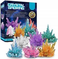 Kristalų auginimo rinkinys vaikams CRYSTAL CULTURE